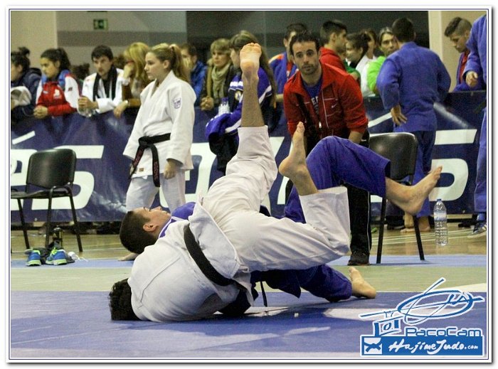 AVILES 2012 0012